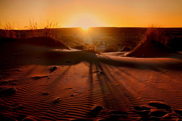 061 Namib Desert, namibrand nature reserve, sossusvlei desert lodge.JPG